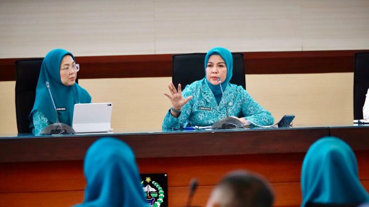 ketua tp pkk bulukumba