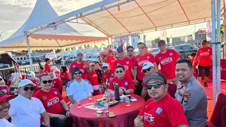 AVOCE Celebes